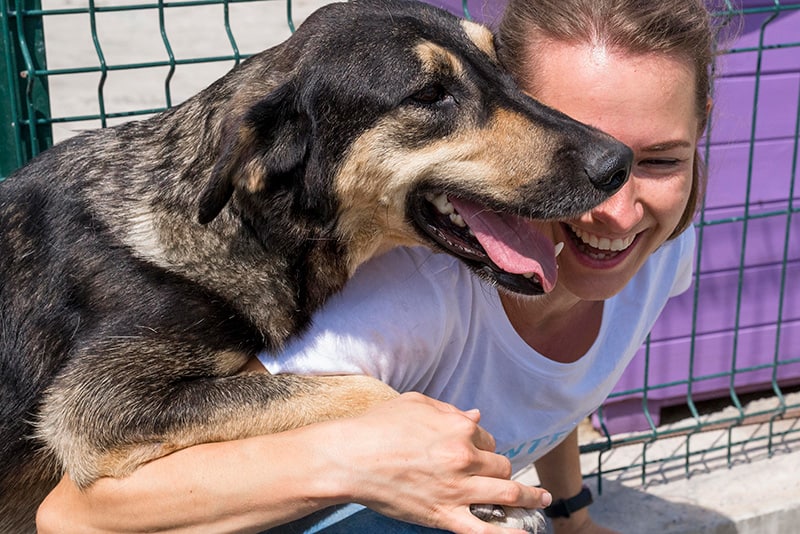 FFTIN Tierheimsponsoring: Wie tierliebe Menschen Tierheime unterstützen können