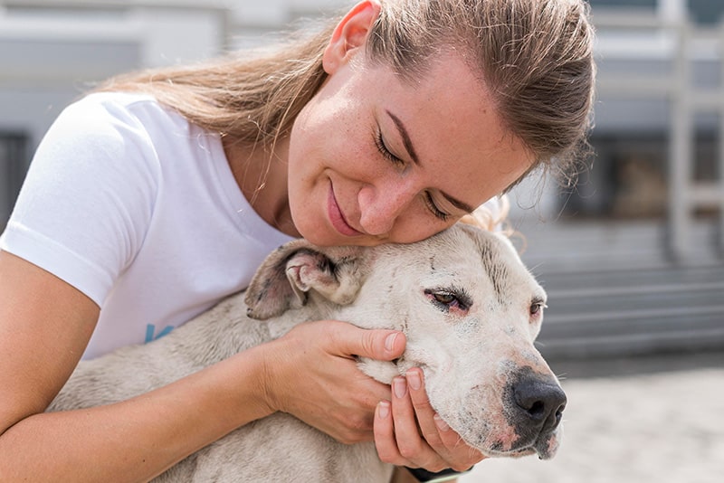 FFTIN Tierheimsponsoring: Wie tierliebe Menschen Tierheime unterstützen können