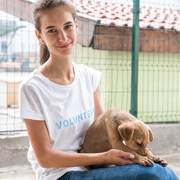 FFTIN Tierheimsponsoring: Wie tierliebe Menschen Tierheime unterstützen können
